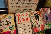 カルロ・ピノ(著)「おいしい虫さんたち」が昆虫食本コーナーに並ぶ