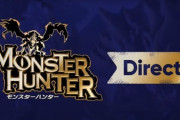 この前のニンテンドーダイレクトってもうモンハンダイレクトに改名した方が良かったよな