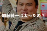 【悲報】加藤純一さん(35)、「敏捷」が読めない