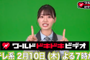 【日向坂46】『ワールドドキドキビデオ』みーぱんOBK全開ｗｗｗｗｗｗ