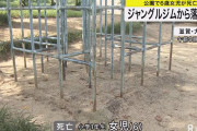 ジャングルジムから落ちた思い出。小学女児(6)死亡。 |  はい全国の公園からジャングルジム撤去な  |  ジャングルジムより雲梯の事故がめちゃ多かったわ