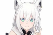 【悲報】PSO2ニュージェネシスさん、ホロライブのVtuberとコラボしてしまう
