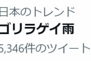 東急ハンズ「ゴリラゲイ雨」ツイート後に謝罪「差別的な文脈念頭になかった」(6/12)