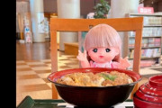 【悲報】メルちゃん、ドカ食い気絶部だった