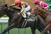 海外の反応　「馬場に対応できることを証明」クロワデュノール、仏G3快勝！凱旋門賞3番人気タイに浮上