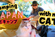 外国人「素敵！！」日本で初キャンプ！猫と過ごす女性のVlogに夢中