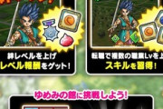 【DQウォーク】主人公が魔法戦士、ハッサンがバトマス、ミレーユがパラディン、バーバラが賢者みたいなのが完成形なのかな