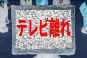 【ネット動画視聴】「テレビ離れは起こっていない」レグザ300万台の視聴データからわかった「現代のテレビの使われ方」