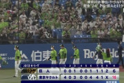 神宮球場、6本塁打を含む31安打ｗｗｗｗｗｗ
