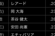 千葉ロッテマリーンズのチーム打率 .224 ←これ
