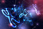 【研究】ヒト染色体の塩基配列の解読が完了　ヒトゲノム全体の完全解読も射程圏内