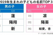 【画像】2019年生まれの子どもの名前TOP３ｗｗｗｗ