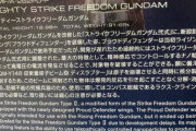 【ガンダムSEED】プラウドディフェンダーの設定が迷走中！？