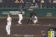 【悲報】昨日の阪神ヤクルト戦の球審ｗｗｗｗｗｗｗｗ