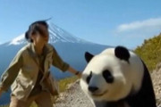 中国人「私はただひたすら日本旅行に行き続けたいだけ」　中国人「行きたい場所に行く」「私の夢は世界一周だったはず・・」