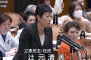 【！？】立憲・辻元清美「22年前、議員辞職しても私を引きずり出した自民」「私は逃げなかったから復帰できた」（国会動画）