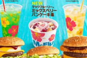 今度のマクドナルド新商品ｗｗｗｗｗ