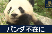 【奈良市議】へずまりゅう氏が私見「まさか日本側がパンダ返還で悲しんでいるとでも思っているのか？」