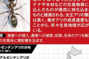 【特定外来生物】アルゼンチンアリ　大阪空港で大量繁殖　電子機器に異常おそれも