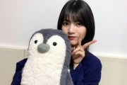 【乃木坂46】林瑠奈とペンギンの歴史。