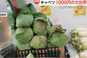 【悲報】キャベツ、ついに1000円超え
