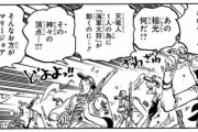 【画像】ワンピース、モブにすごい説明させるｗｗｗｗｗｗｗｗｗｗｗｗｗｗｗｗｗｗｗ