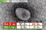 「ワクチン打ってもすり抜ける」――コロナ新系統“BQ.1.1”へ置き換わり　国内感染「3000万人超」…インフルと同時感染も