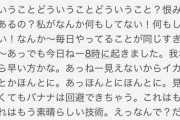【急募】さやまるを黙らせる方法