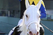 【軽斤量生かして古馬と勝負】白毛の桜花賞馬 ソダシ　札幌記念への参戦プランが浮上