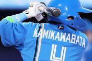 最近のプロ野球って珍苗字いなくない？？？