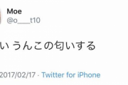 ツイッター女性 電車内で「くさいうんこの匂いする」「絶対うんこしたわ誰か」→ｗｗｗｗｗｗｗｗｗ