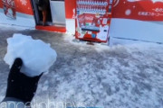【動画】外国人、雪まつり会場でスタッフに雪玉を投げつけバチクソに炎上する