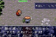 風来のシレンとかいう低コストでそこそこ売れてるのに全然新作が出ないゲーム