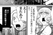 【影響】なんだよこの漫画ｗｗｗ【注意】