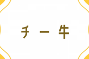 チー牛ってやたらみんな使ってるけどさ
