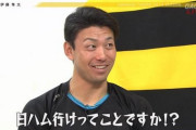 阪神 伊藤隼太さん戦力外か