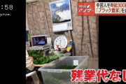 夕張メロン「技能実習生が来日できないからメロン8万玉減産するんよ。日本人は来てくれないんよ」