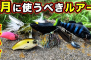 8月の釣りに最適！真夏の昼間でもルアーで釣れる魚のおすすめ２選！