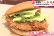 【画像】鳥貴族「コロナで焼鳥屋がキツイ…そうだ！ハンバーガー売ろ！」