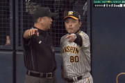 今回の日本シリーズの審判やばくね？