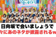おひさま大興奮　日向坂で会いましょうで久々にあのネタが披露されるwww[日向坂46]