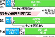 【朗報】　日本、「性犯罪者にはGPSの装着を義務に」