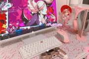 【画像】女子小学生、ゲーム環境を公開