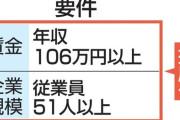 石破政権「１０６万円の壁があるから働けない？じゃあもう壁無くして全員増税するわ、老後も安心！」石破政権、公約を曲げない国民民主党へのカウンターで増税を決める