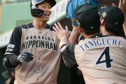 【朗報】日ハム石井一成、フェニックスリーグで覚醒する