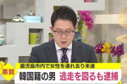 刃物を使用し１０代女性を車で連れ去ろうとした疑い２８歳・韓国籍の男を逮捕 #在日コリアン |  なんで韓国籍がコロナの時期におるんだ