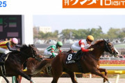【競馬】悲報‥ダノンキングリー、連闘させられる