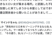 【悲報】BL本が「ゾーニング」されていない理由がこれらしいｗｗｗｗ