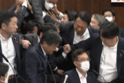 入管法改正案採決の際、一部議員の暴行により自民党議員が怪我  [6/8]