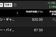 僕の米株の評価損益率みてwwwwwwwwwwww